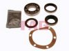 FAG 713 6675 00 Wheel Bearing Kit